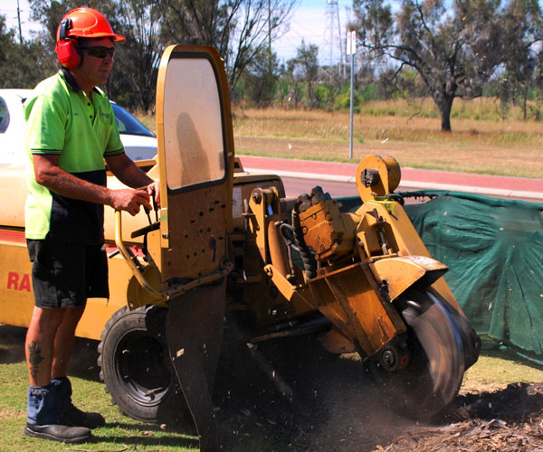 Stump Grinding