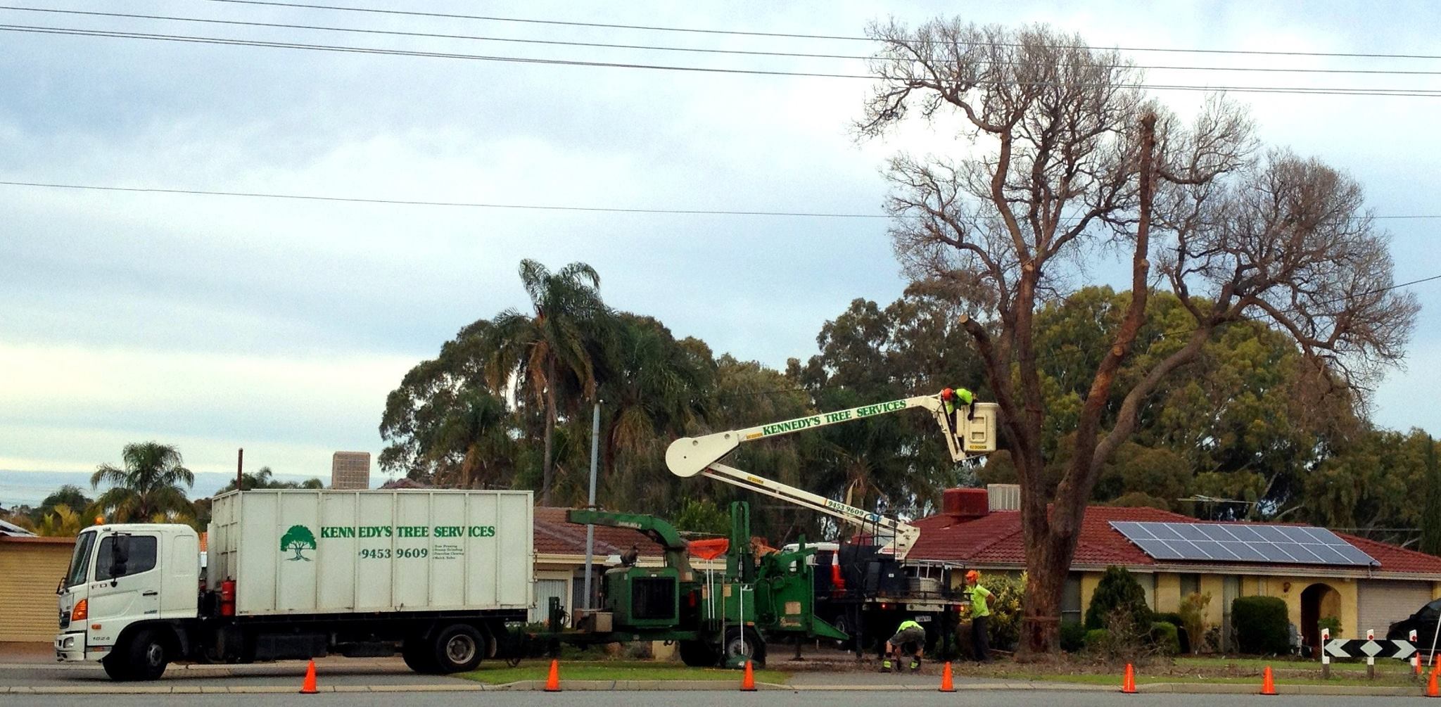 power_line_clearing_001